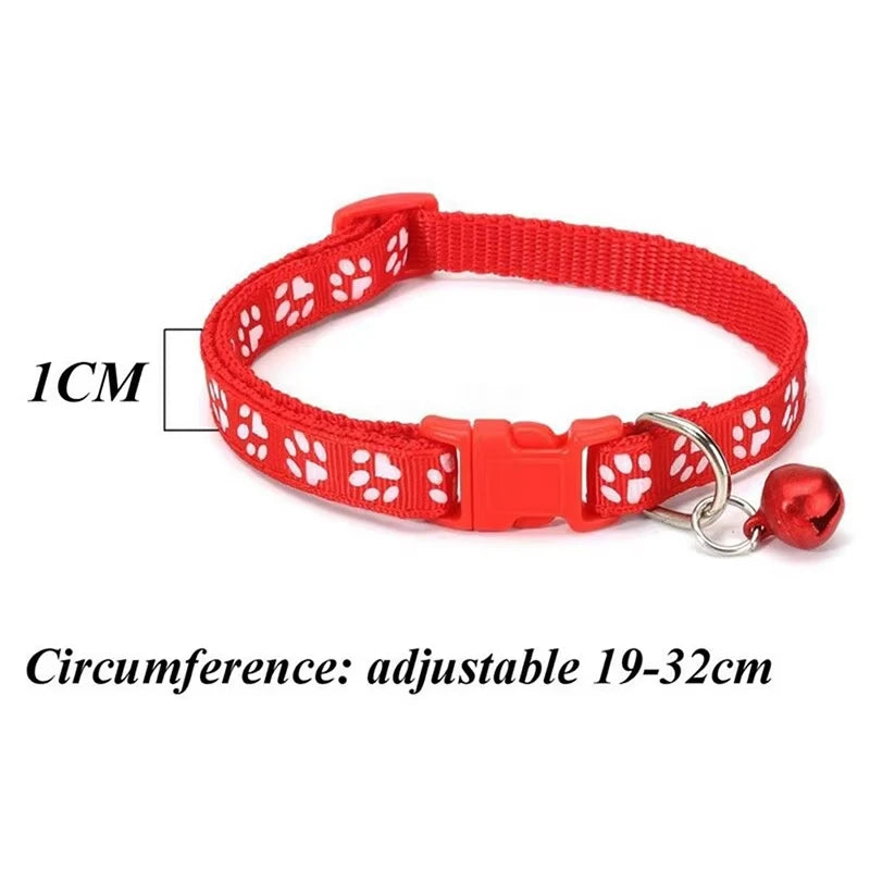 Colorful Pet Collar Set