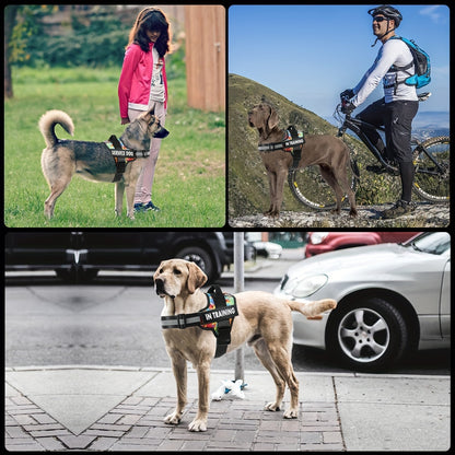 No-Pull Reflective Dog Harness
