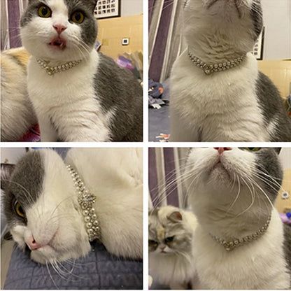 Luxury Pearl Pet Necklace